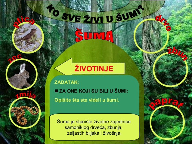 Koje životinje možete sresti van njihovih prirodnih staništa?