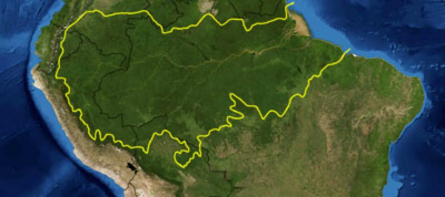 Sve što treba da znate o požarima u Amazonskoj prašumi