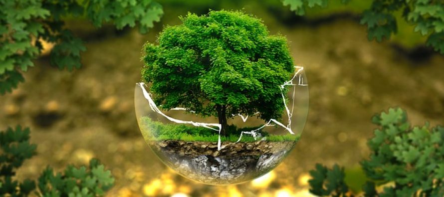 Juče su i zvanično potrošeni resursi planete za ovu godinu